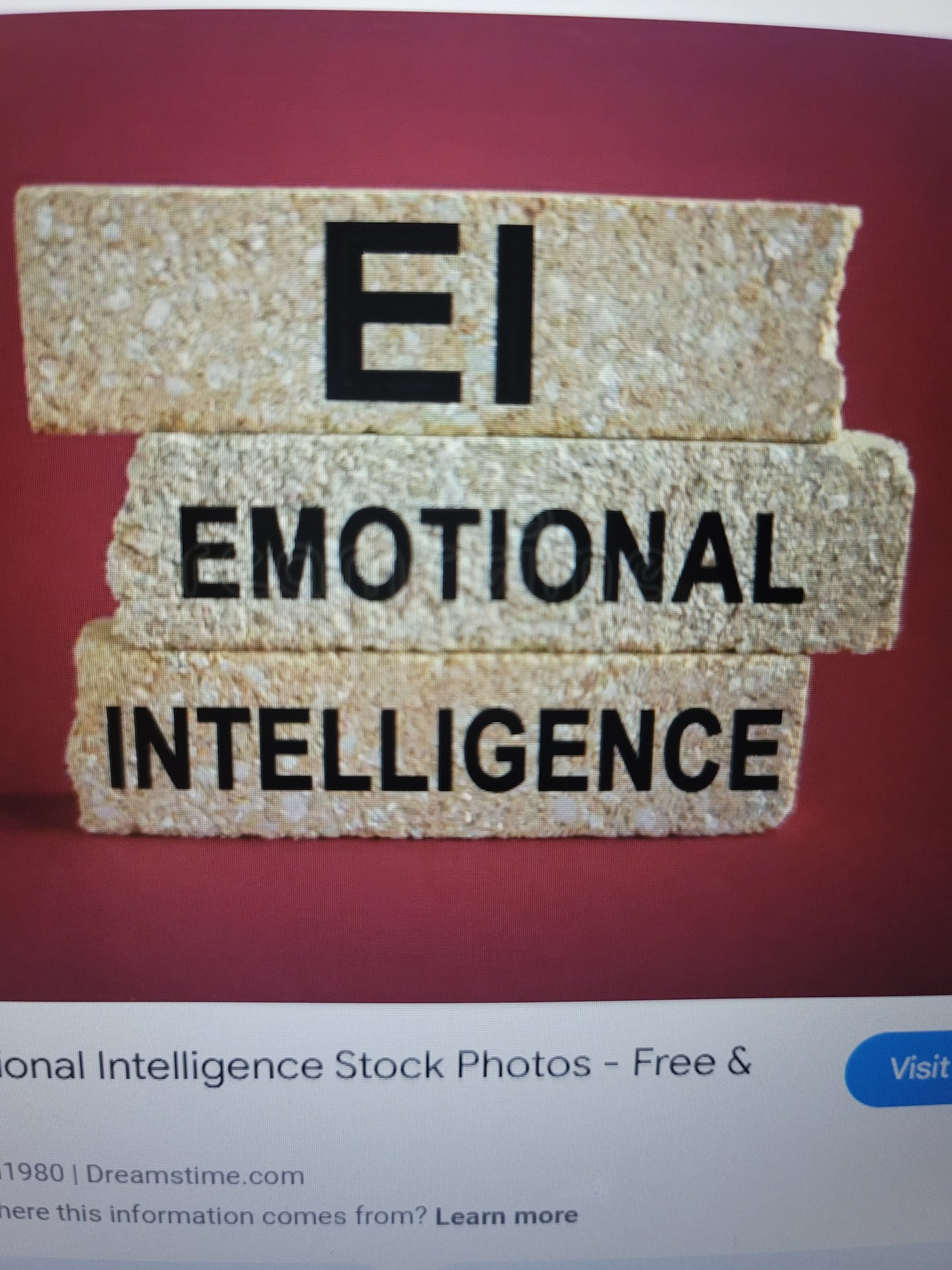 Building your Character & Managing your Emotional Intelligence Program